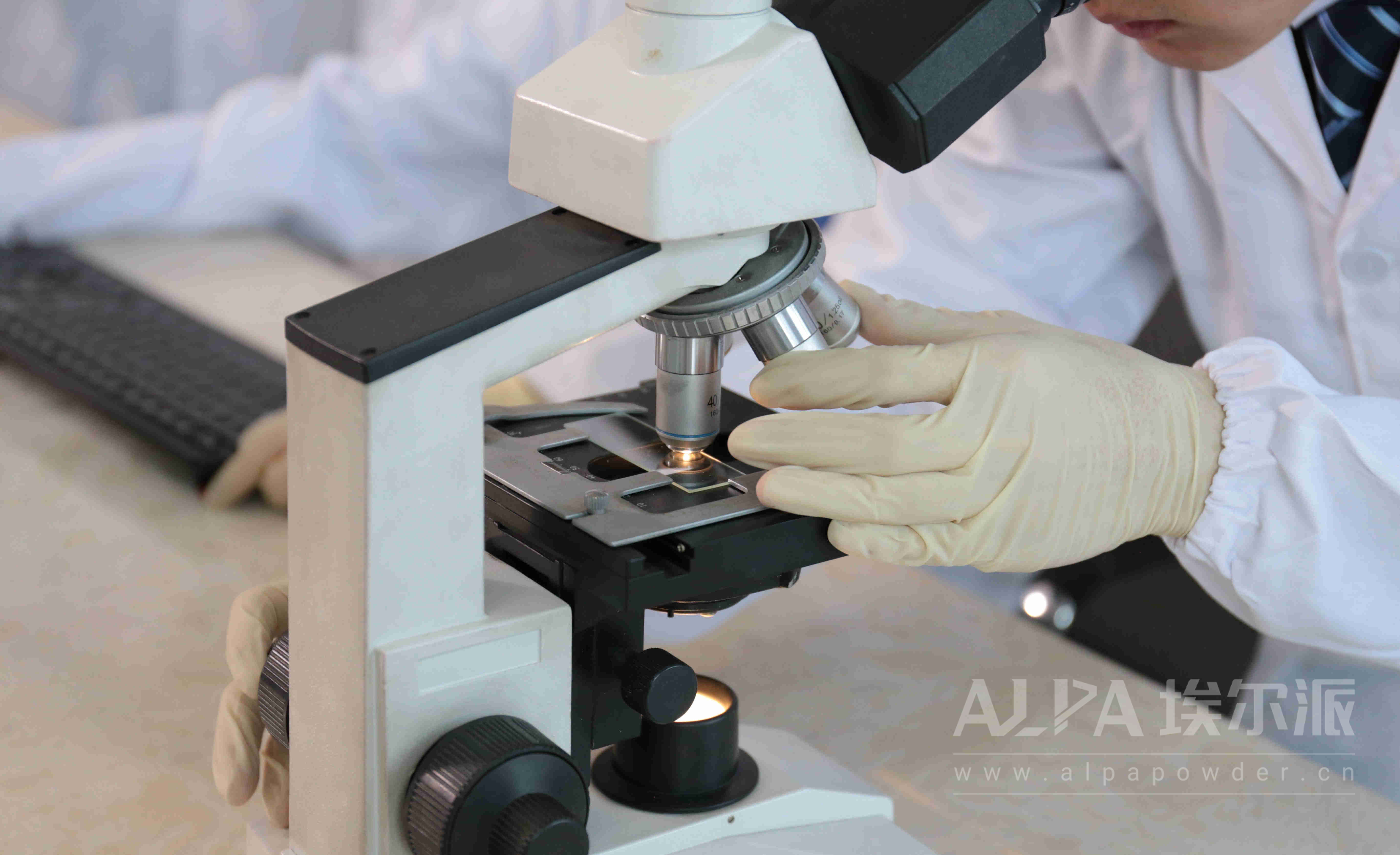 ALPA é engenhoso, adere AOS detalhes e destaca a belezaIndústria